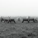 De camera data zijn weggehaald uit de foto om de unieke technieken verborgen te houden voor de rechten van de fotograaf.